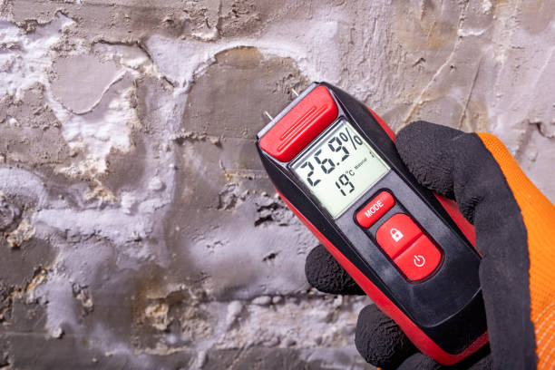 Best Affordable Mold Removal  in Covina, CA